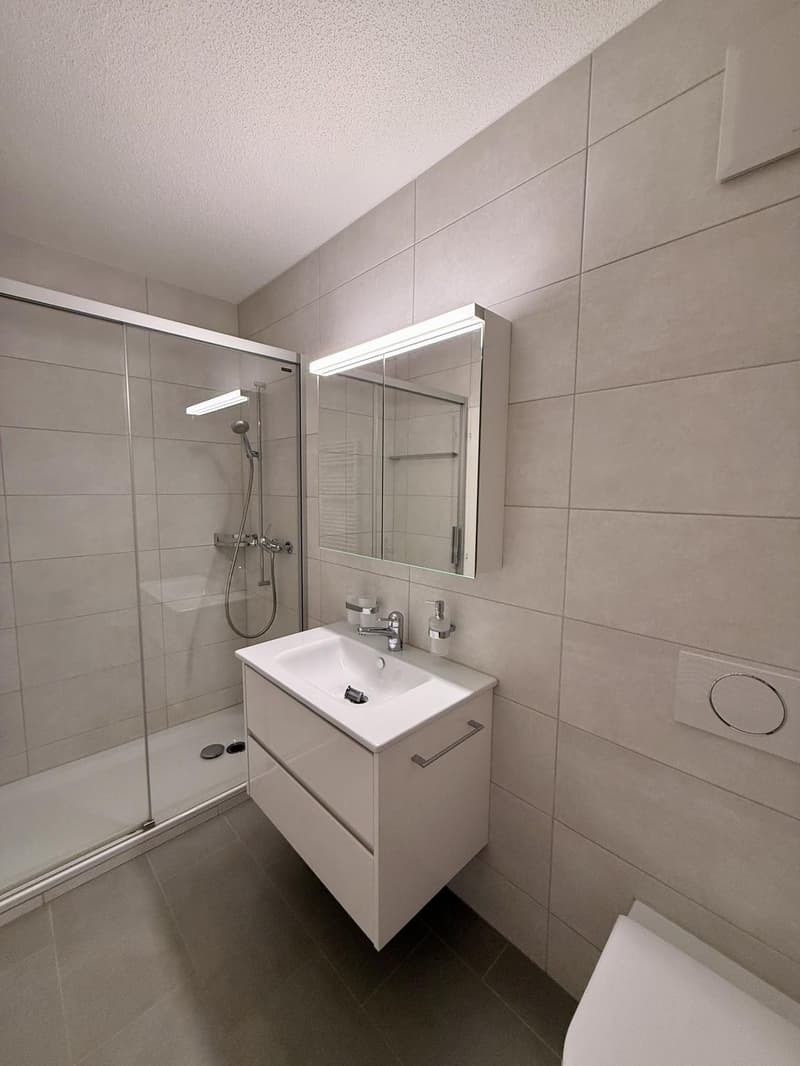 3.5 Zimmer-Wohnung an ruhiger und zentraler Lage (4)