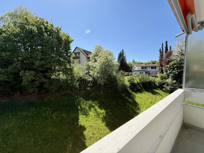 3.5 Zimmer-Wohnung an ruhiger und zentraler Lage (8)