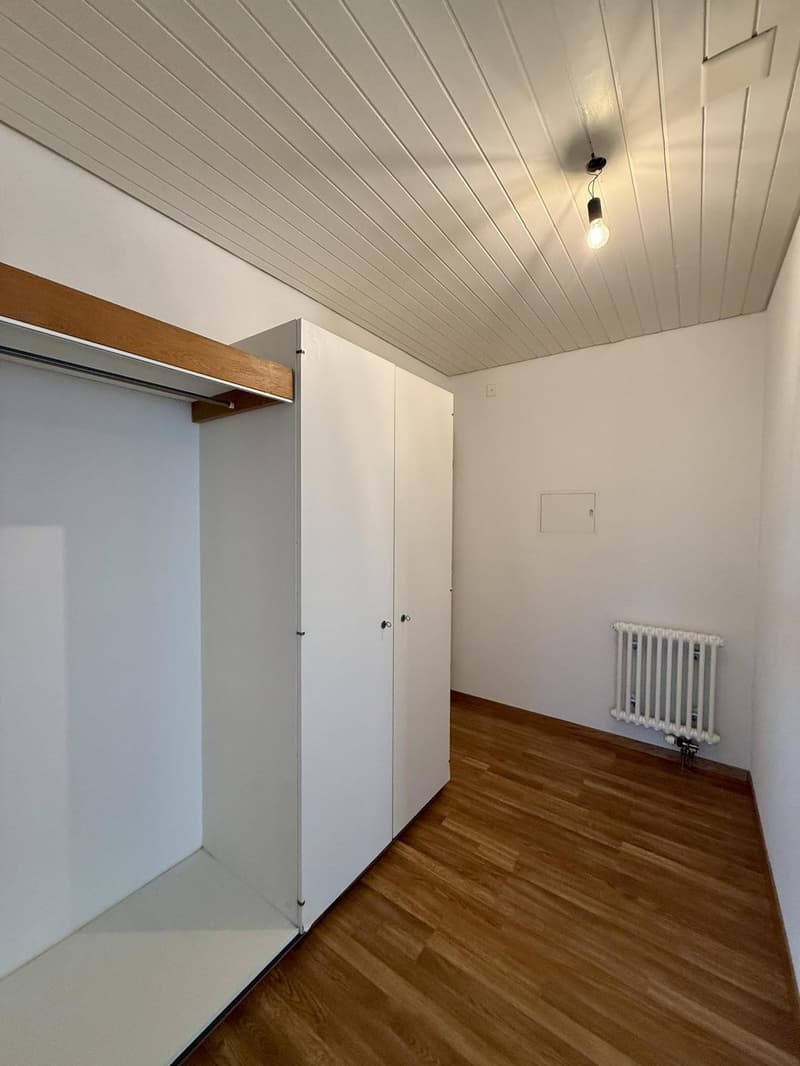 3.5 Zimmer-Wohnung an ruhiger und zentraler Lage (9)