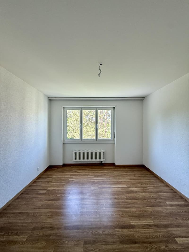 3.5 Zimmer-Wohnung an ruhiger und zentraler Lage (3)