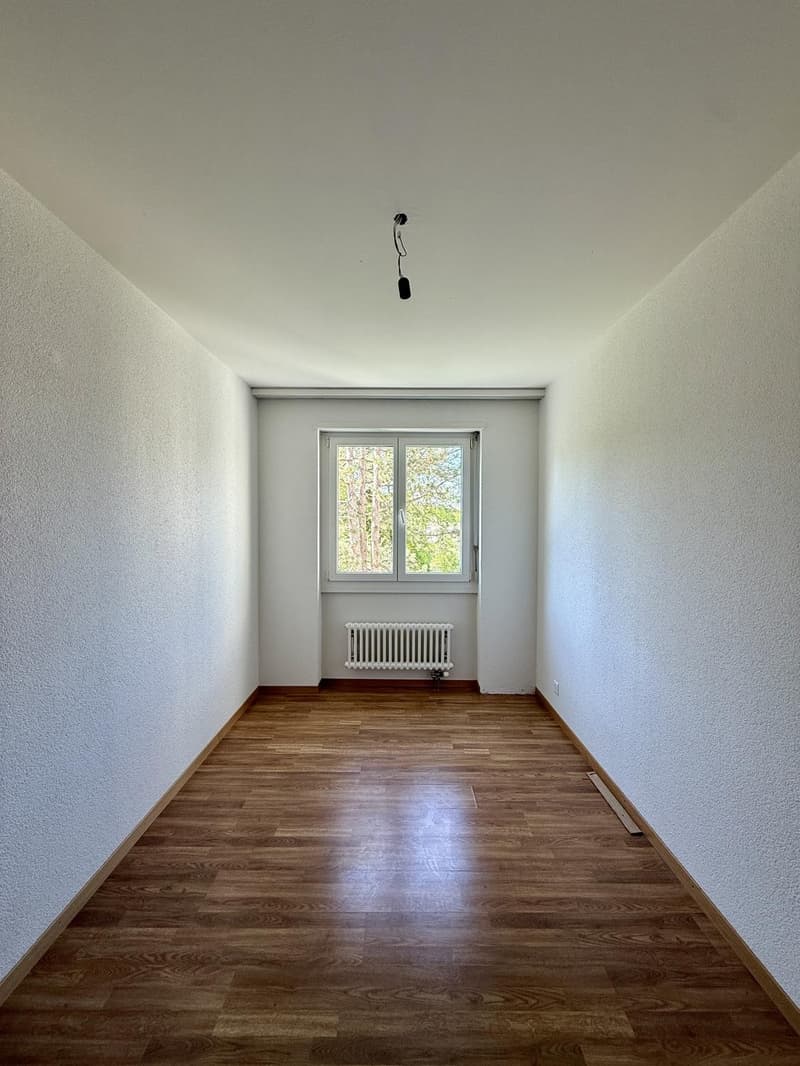 3.5 Zimmer-Wohnung an ruhiger und zentraler Lage (2)
