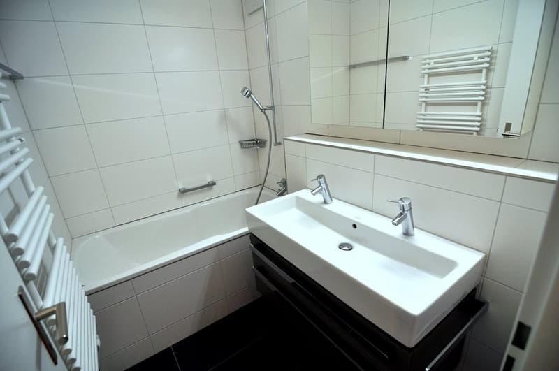 Badezimmer_3_Ziwhg_1.JPG