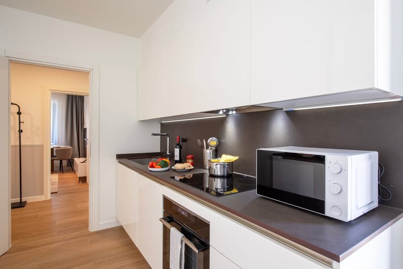 Flexible Rental from 1 Month -Furnished 3.5-Room Apartment with Balcony and Stunning Views in Lugano (17)