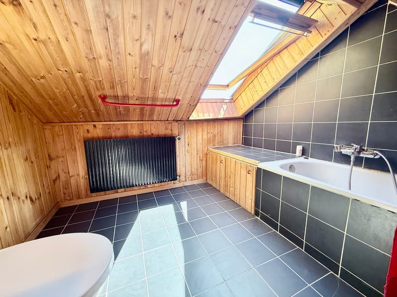 Maison à vendre à Ayent avec terrain à bâtir de 2'390 m2 (7)
