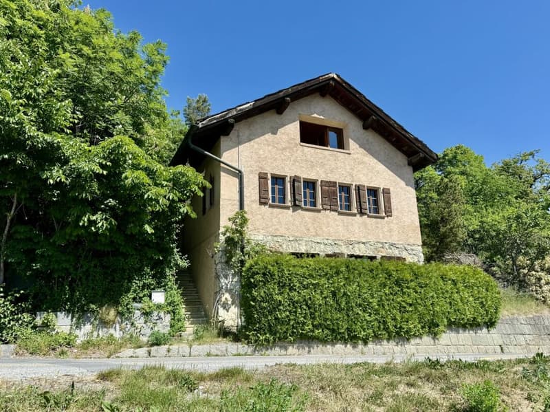Charmante maison avec terrain à bâtir (12)