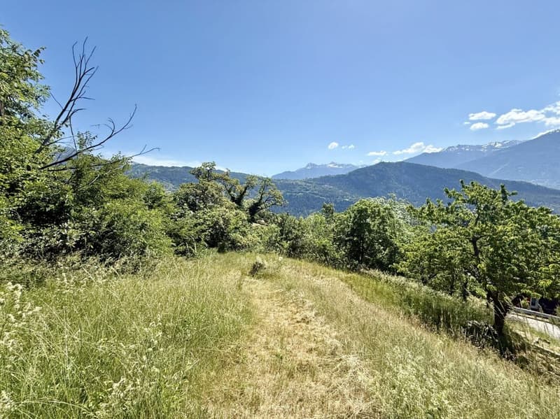 Charmante maison avec terrain à bâtir (13)