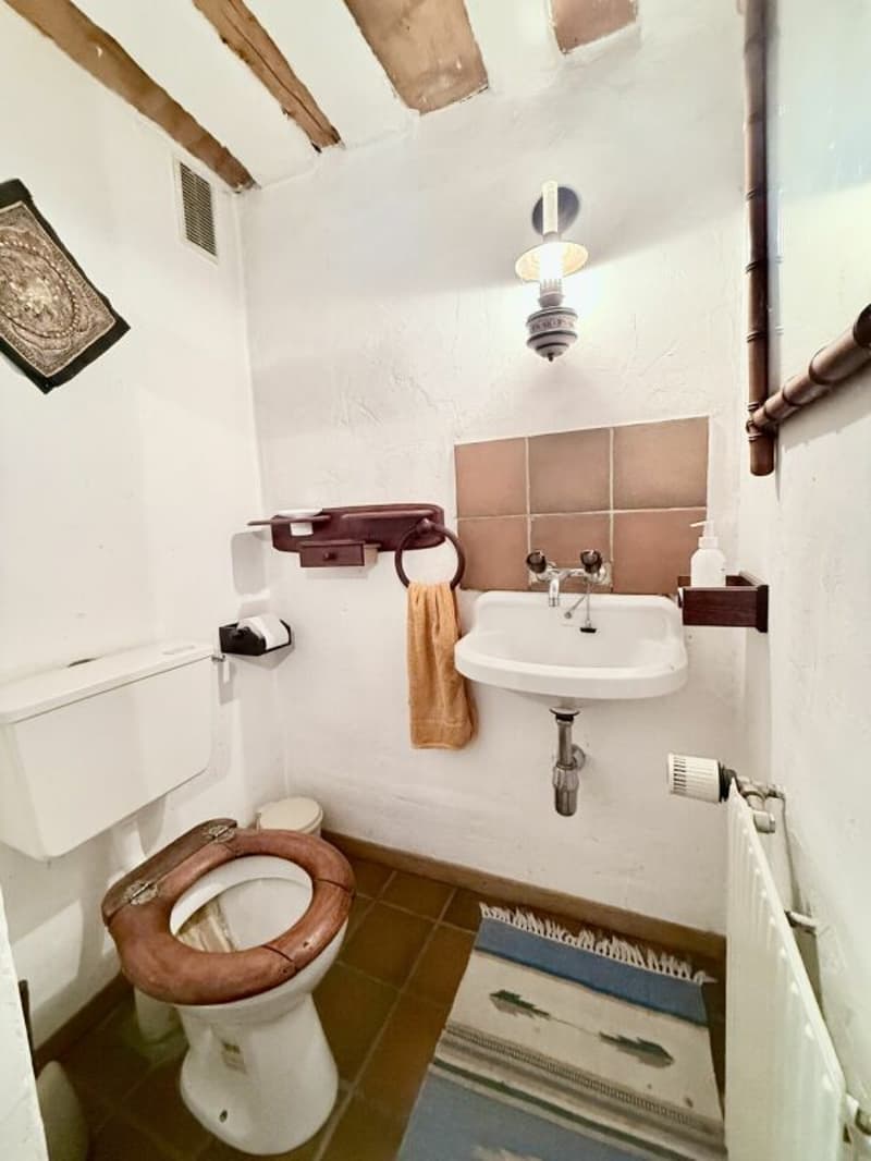 Charmante maison avec terrain à bâtir (10)