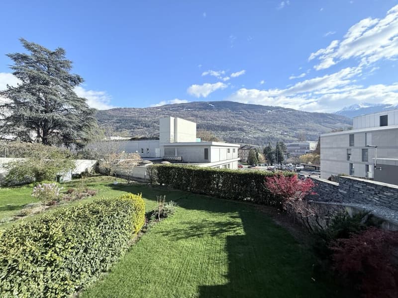 Magnifique appartement de 3½ pièces au coeur de Sion (5)
