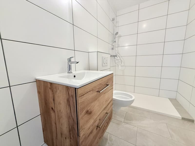 Splendide immeuble rénové avec cachet au coeur du vieux village de Vétroz (5)