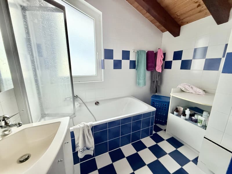 Vente - Villa Ormône (12)