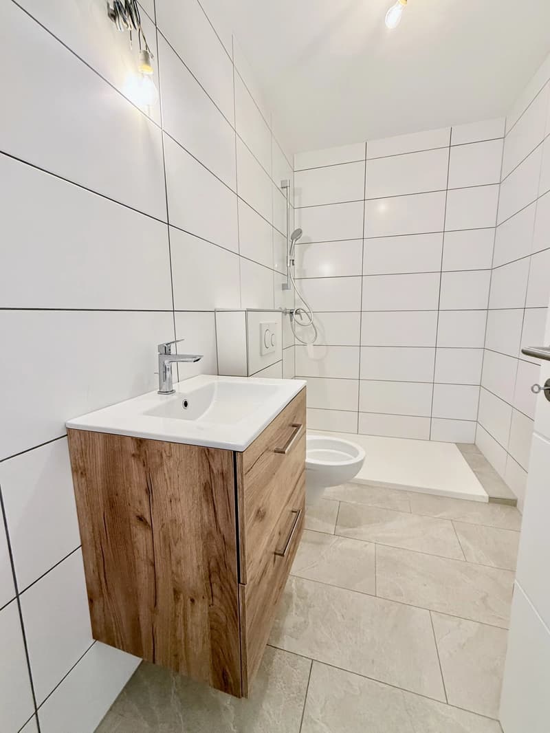 Splendide immeuble rénové avec cachet au coeur du vieux village de Vétroz (5)