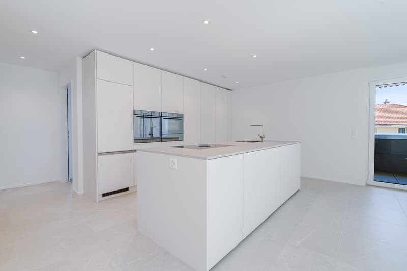 Küche mit Insel, Flächendunstabzug, Backofen, Steamer, Kühlschrank und separater Gefrierschrank