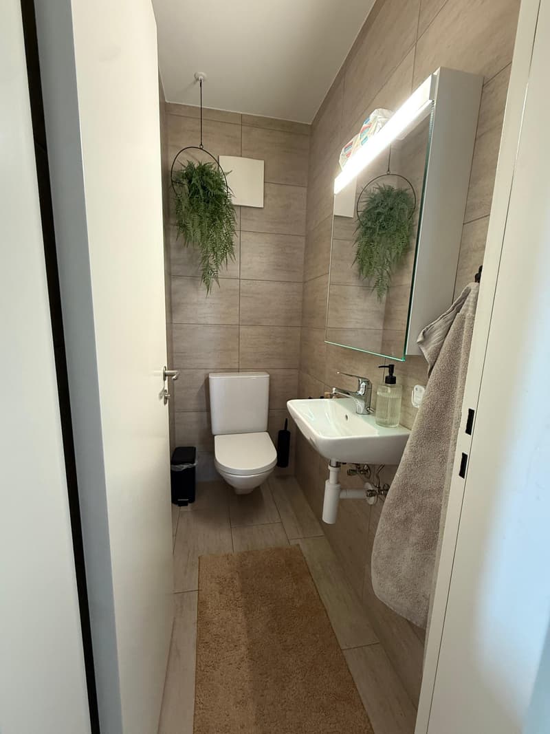 Charmante 4.5-Zimmer-Wohnung mit Balkon und herrlicher Aussicht in Kaiseraugst (22)