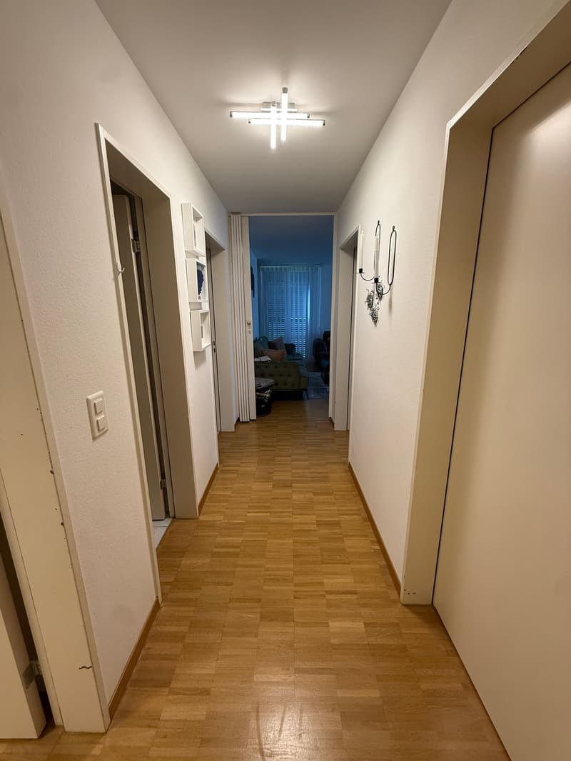 Helle 4.5-Zimmer-Wohnung mit Balkon in Kaiseraugst – sofort verfügbar! (7)