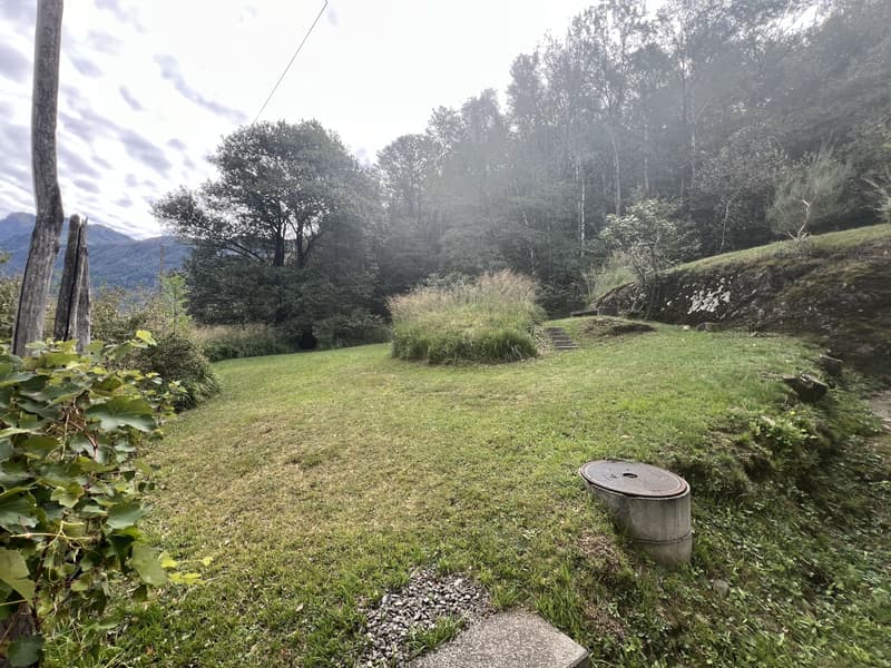3.5-Zimmer-Rustico mit viel Land in S. Antonino kaufen (6)