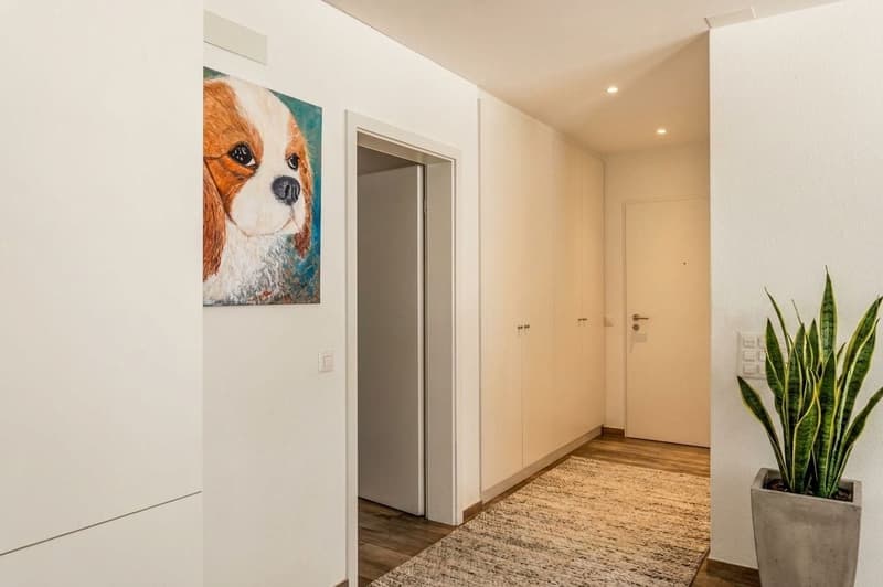 3.5 locali moderno e luminoso con loggia a Claro (7)