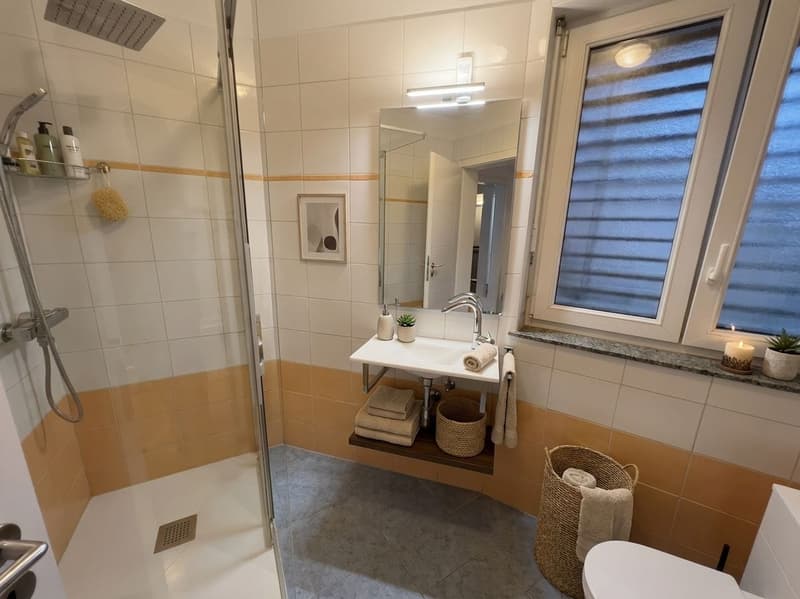 Casa unifamiliare 6.5 locali con terrazze e giardino a Claro (10)