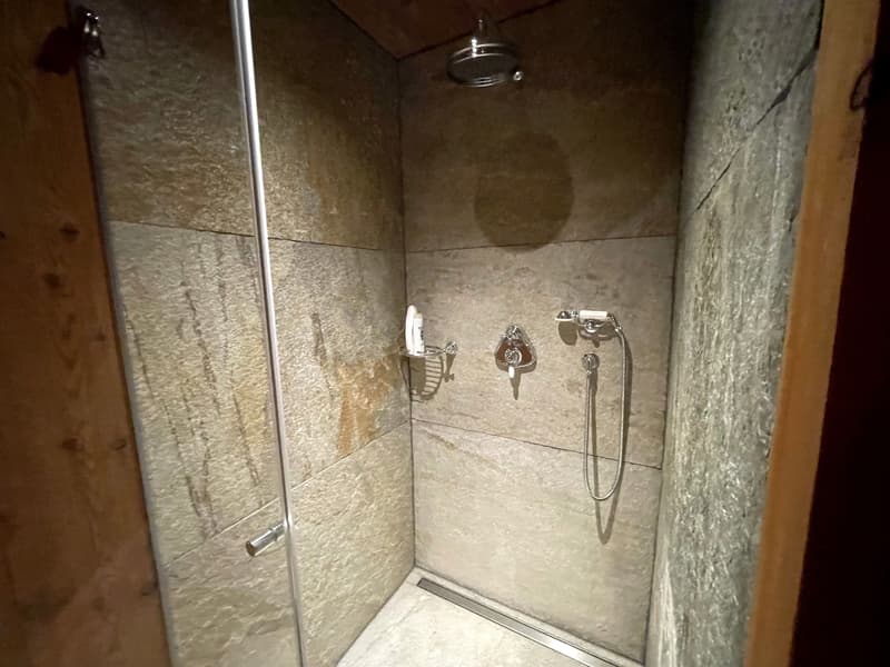3.5-Zi. Designwohnung mit grosser Terrasse in Laax kaufen (11)