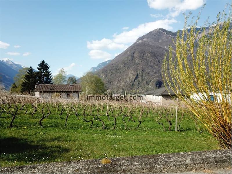 Terreno edificabile soleggiato in zona tranquilla ad Arbedo (1)
