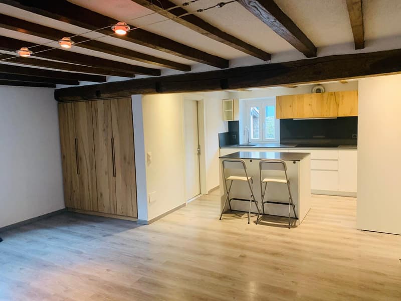 Casa plurifamiliare 2 unità con vista monti a Sonvico (2)