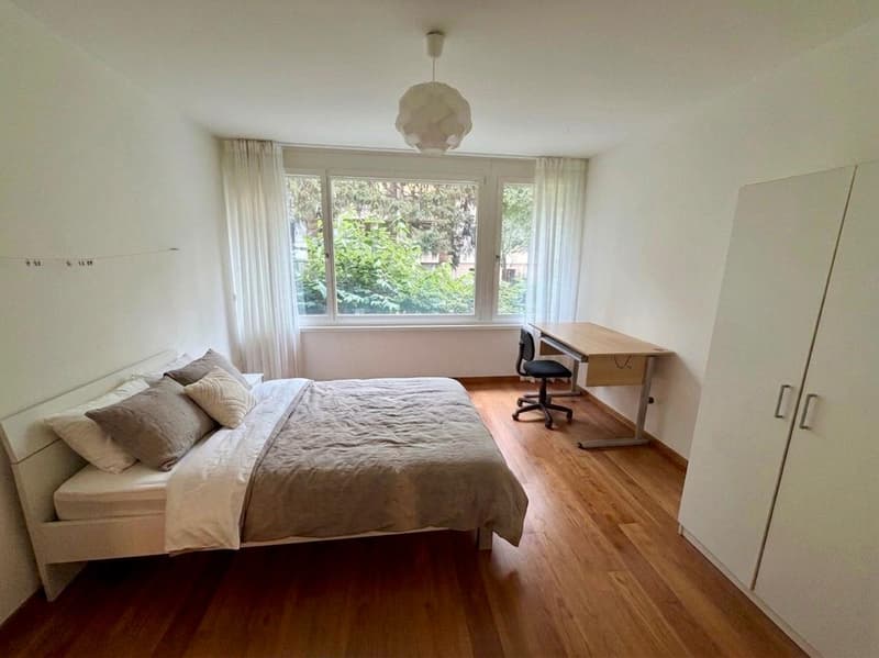 Room in shared flat in Basel (5)