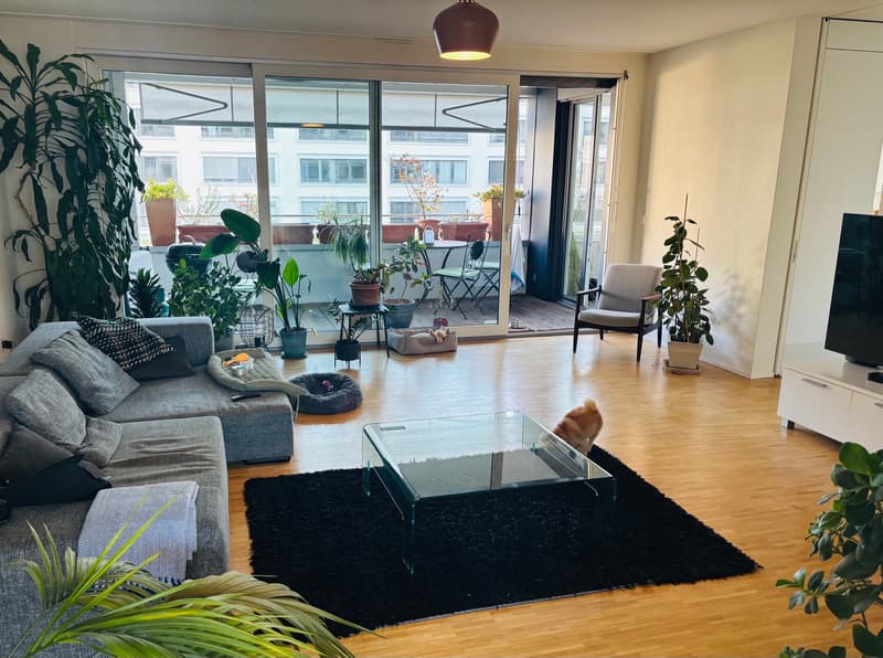 Room in shared flat in Zürich (8)