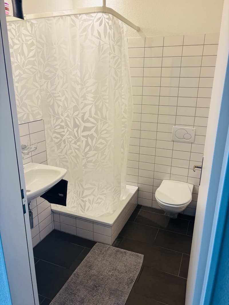 Room in shared flat in Zürich (4)