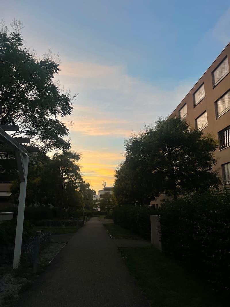 WG-Zimmer in Horgen (2)