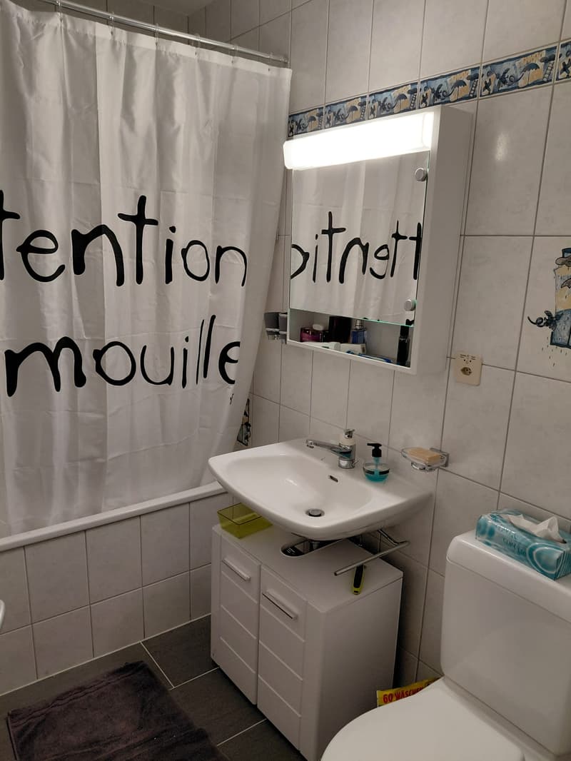 Chambre en colocation à Grimisuat (5)