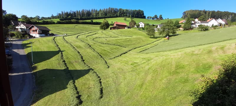 WG-Zimmer in Herisau (10)