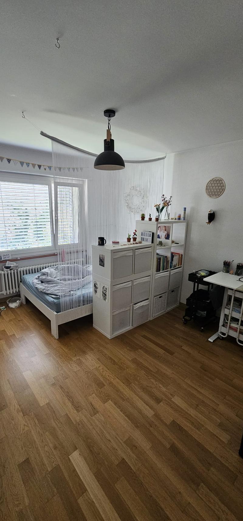 WG-Zimmer in Bern (9)