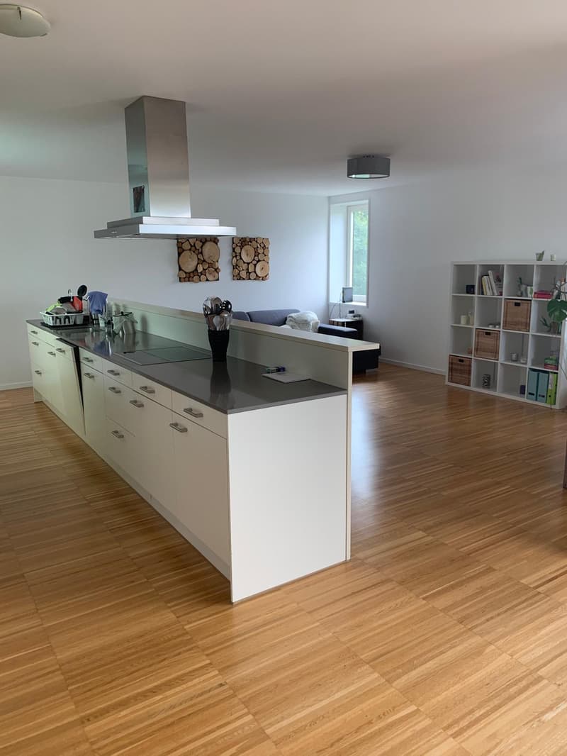 Room in shared flat in Sursee (5)