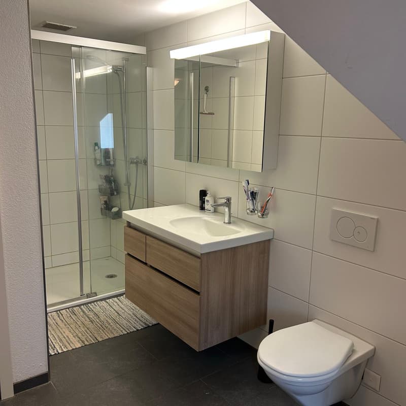WG-Zimmer in Aarau (5)