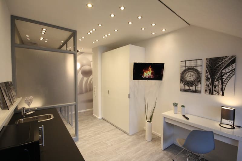 Furnished apartment in Thun (5)