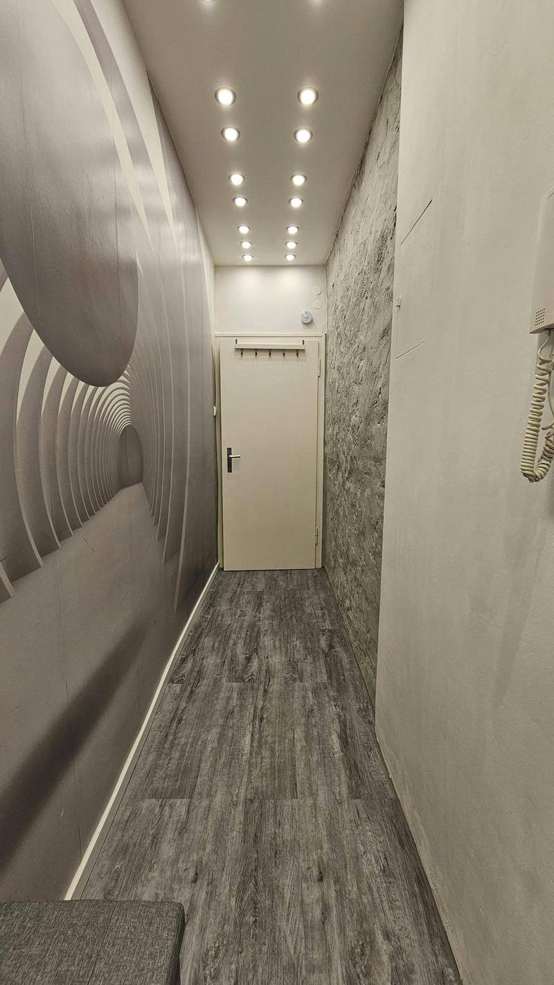Furnished apartment in Thun (1)