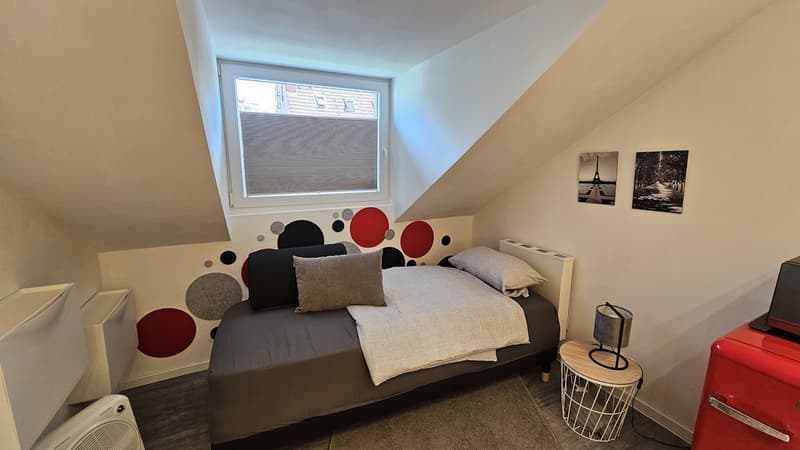 Furnished apartment in Thun (2)