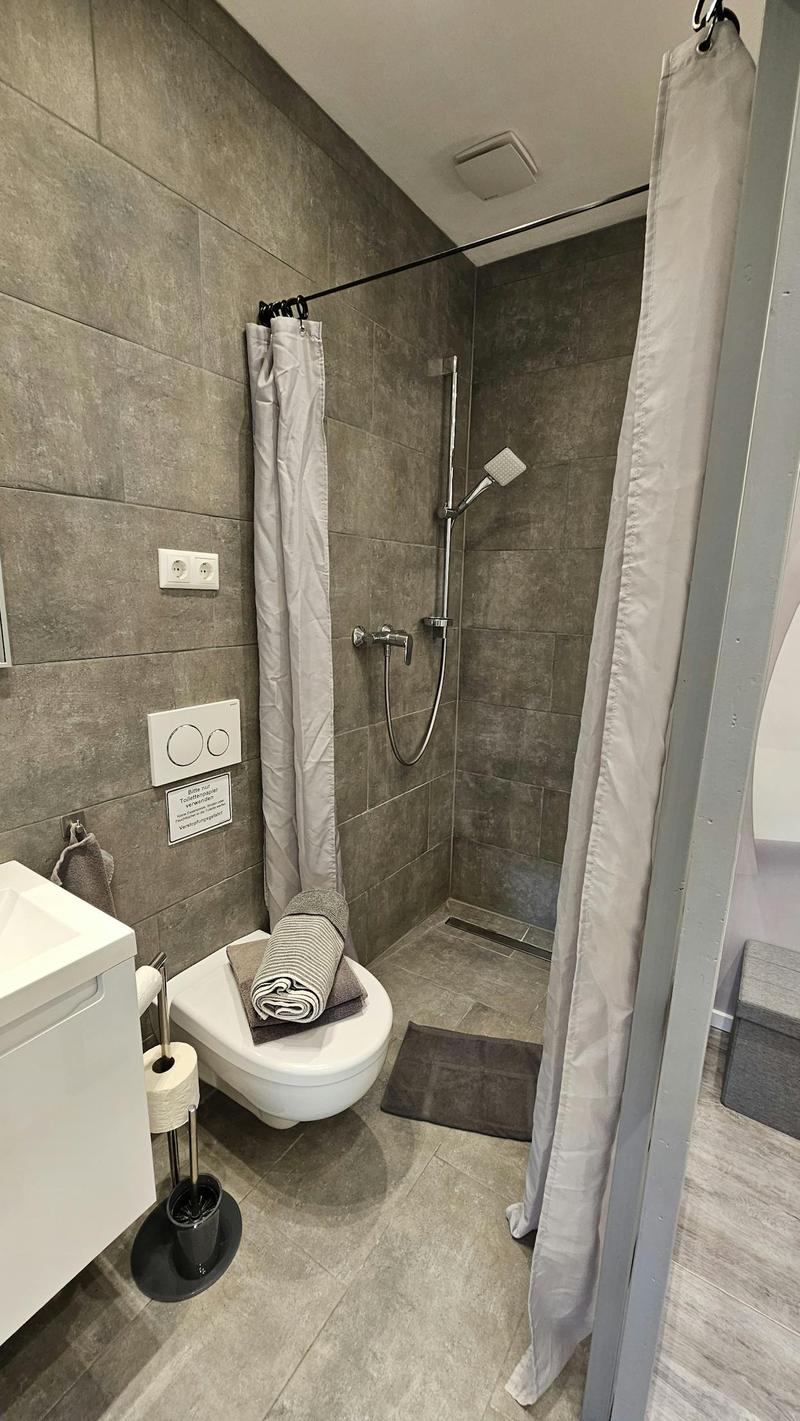 Furnished apartment in Thun (6)