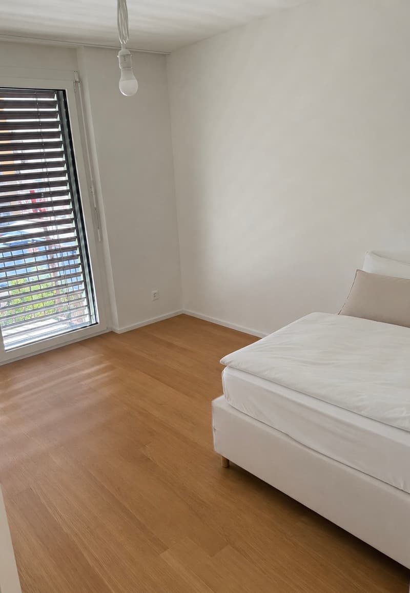 WG-Zimmer in Zürich (1)