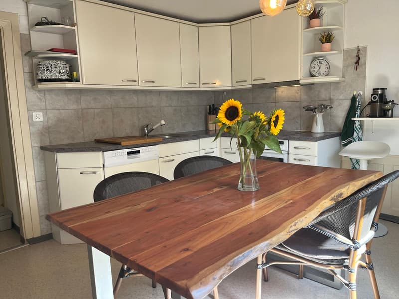 WG-Zimmer in Küssnacht am Rigi (6)