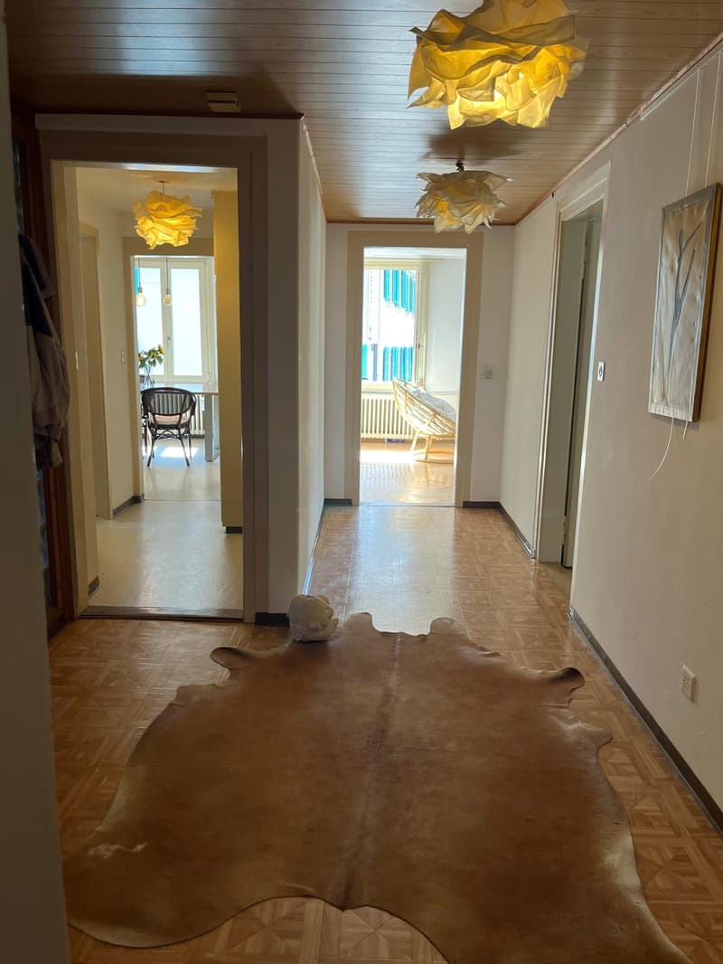 WG-Zimmer in Küssnacht am Rigi (9)