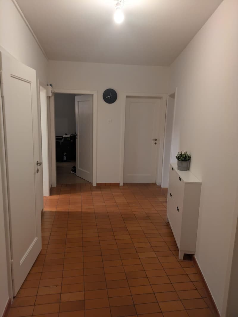 WG-Zimmer in Basel (4)