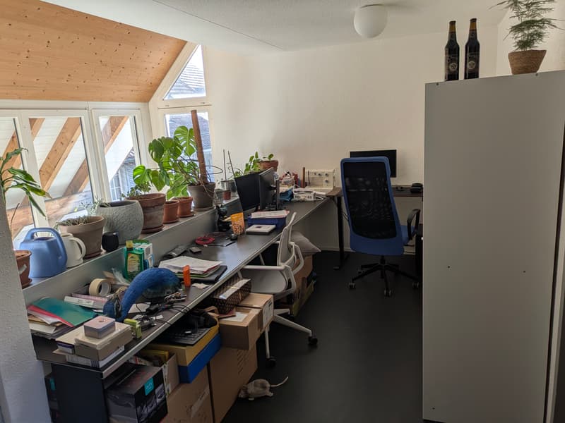 WG-Zimmer in Reutlingen (2)