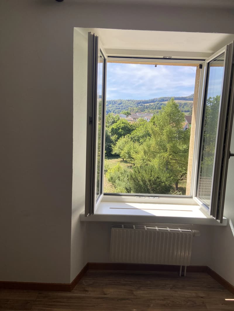 WG-Zimmer in Schinznach Dorf (6)