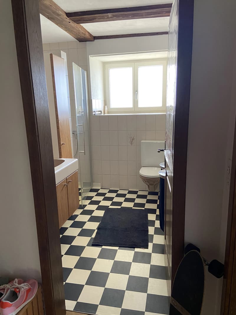 WG-Zimmer in Schinznach Dorf (10)