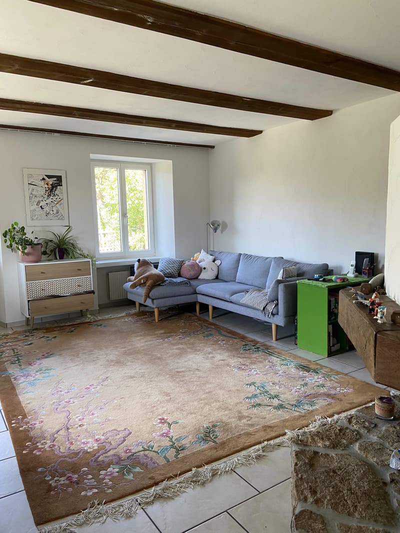 WG-Zimmer in Schinznach Dorf (8)