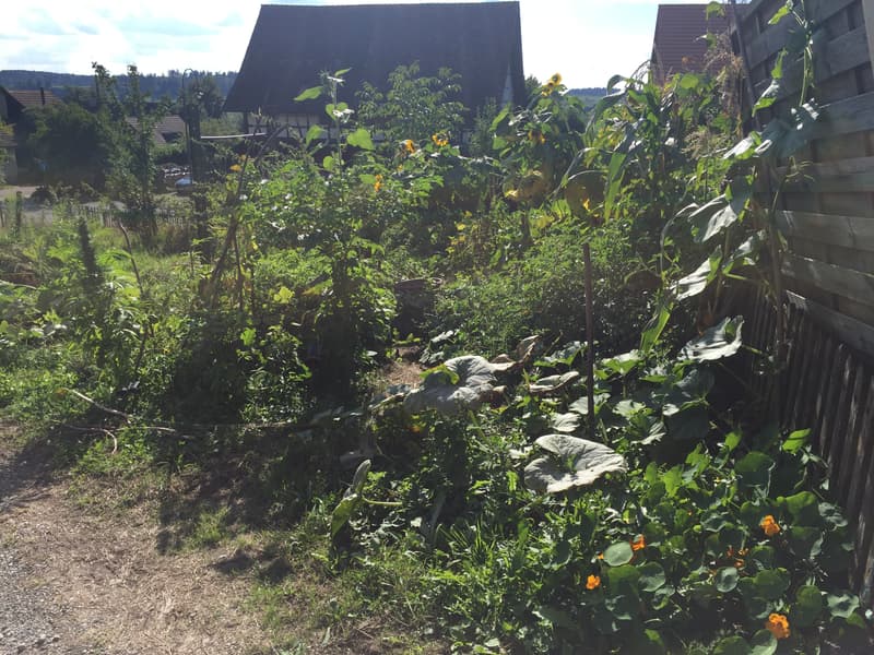 WG-Zimmer in Unterstammheim (6)