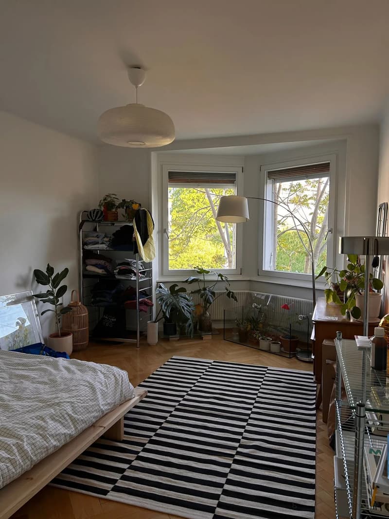 WG-Zimmer in Basel (1)