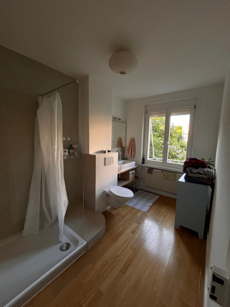WG-Zimmer in Basel (9)