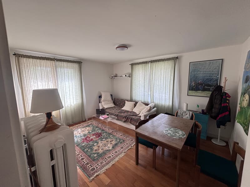 Room in shared flat in Zürich (4)