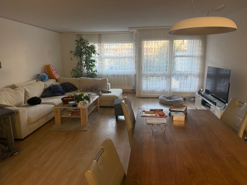 WG-Zimmer in Thun (7)